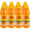 Wild Island Mango Orange Flavoured Dairy Blend Concentrate 12 x 1L 
